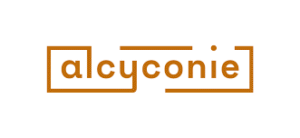 Alcyconie : l'acteur de référence en gestion de crise d'origine cyber